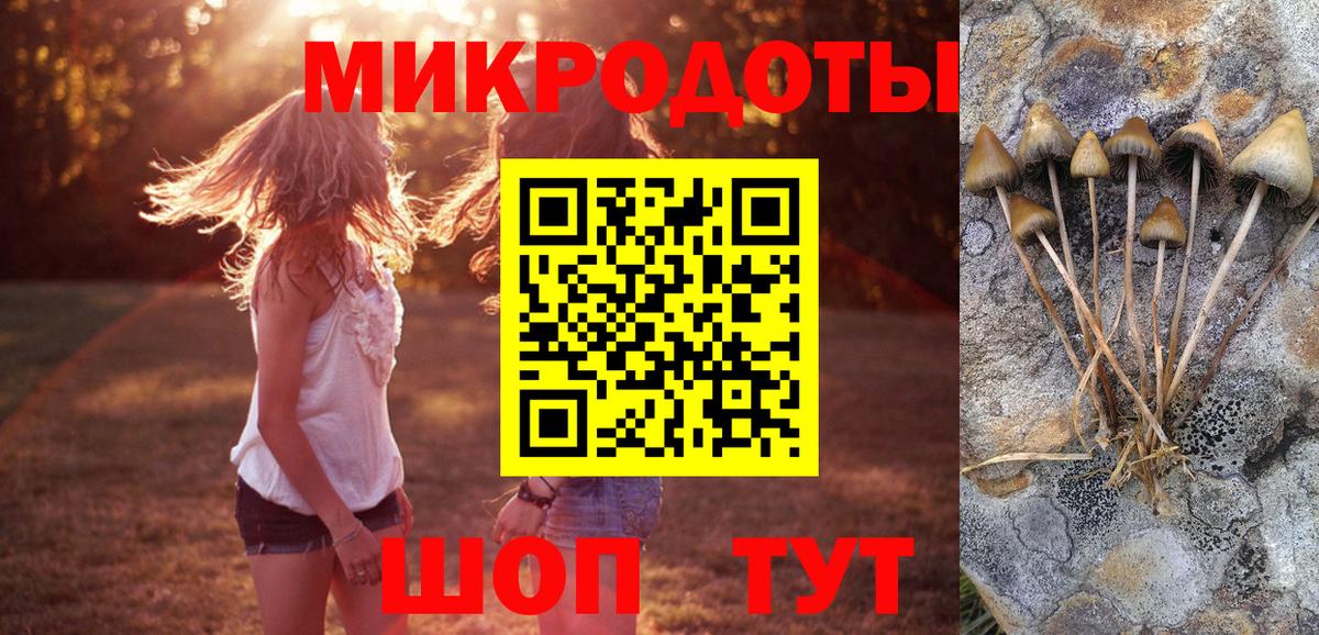 Псилоцибиновые грибы Psilocybine cubensis Менделеевск